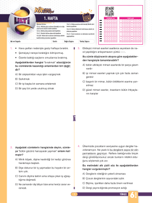 2025 - 6. SINIF TÜRKÇE HAFTALIK ÖDEV FÖYLERİ